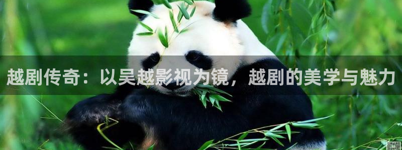 51视频免费观看视频