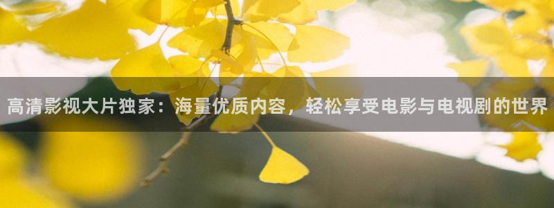 51视频在线观看