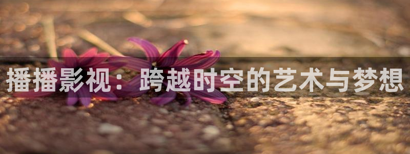 51视频在线观看