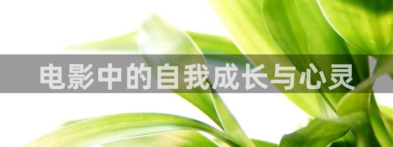 51视频免费观看