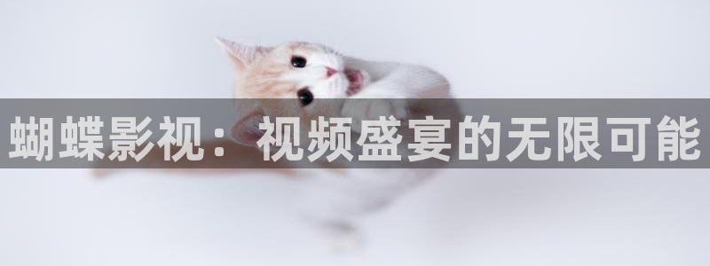 51视频在线观看